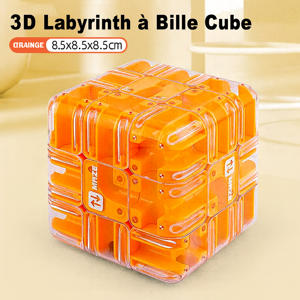 Grand puzzle labyrinthe 3D