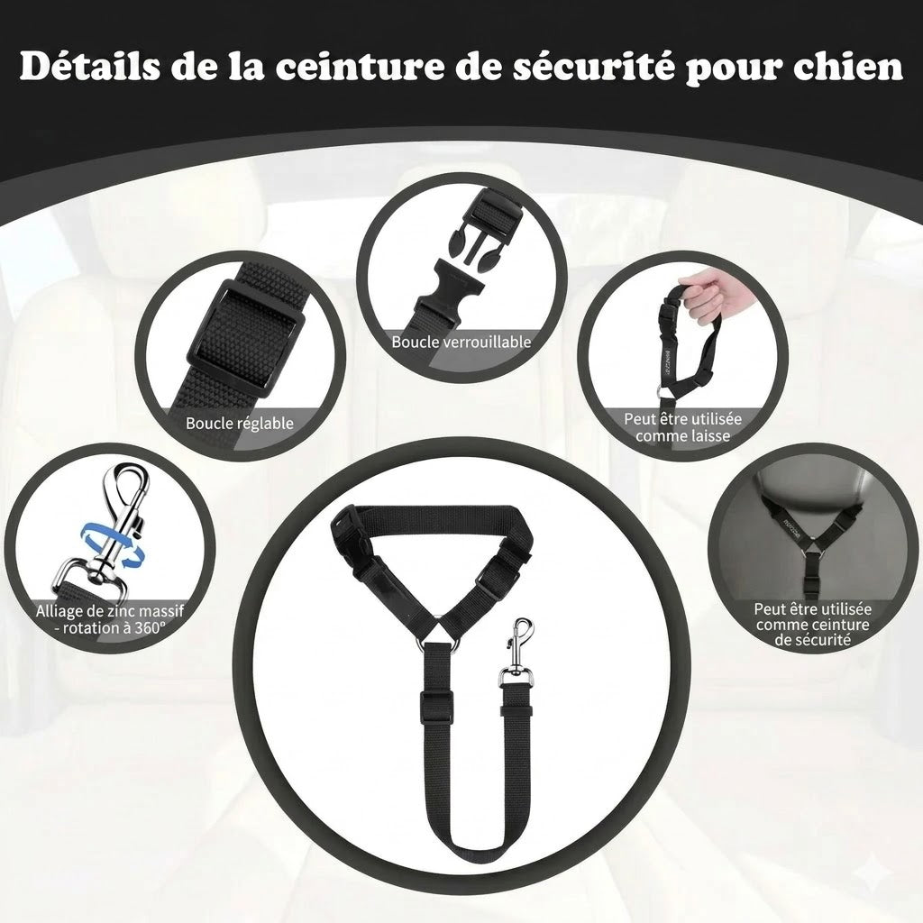 Ceinture de sécurité et laisse pour chien 2-en-1