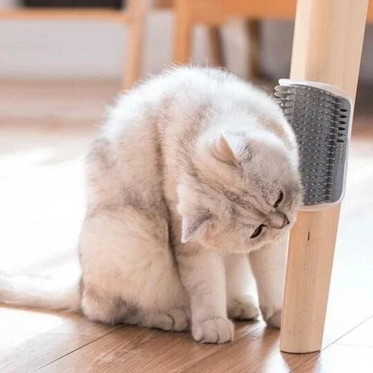 Brosse de massage auto-nettoyante pour coin de mur pour chat