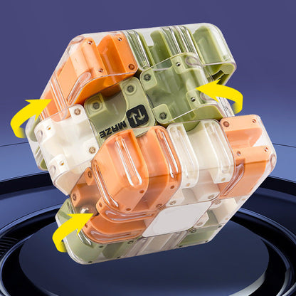 Grand puzzle labyrinthe 3D