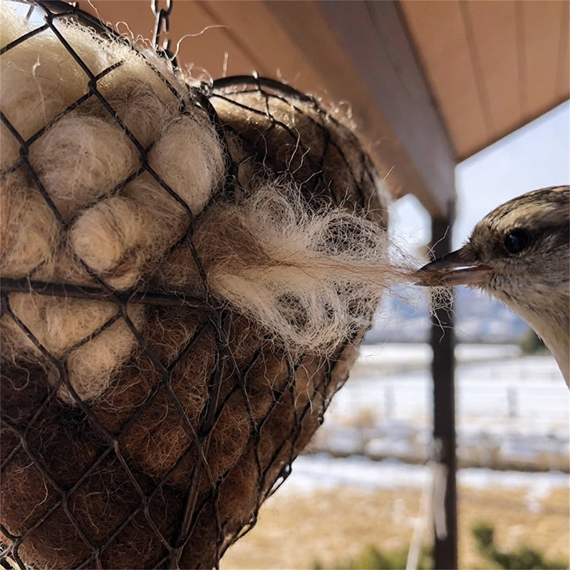 Nid d'oiseau décoratif en forme de cœur