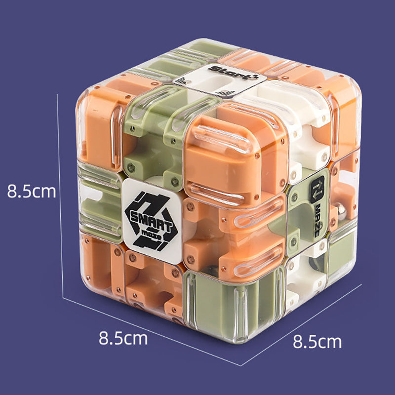 Grand puzzle labyrinthe 3D