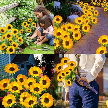 Lampes solaires étanches（3 Lampes de tournesol）