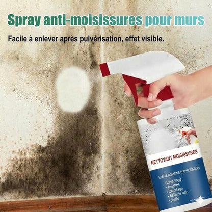 Nettoyant moussant anti-moisissure