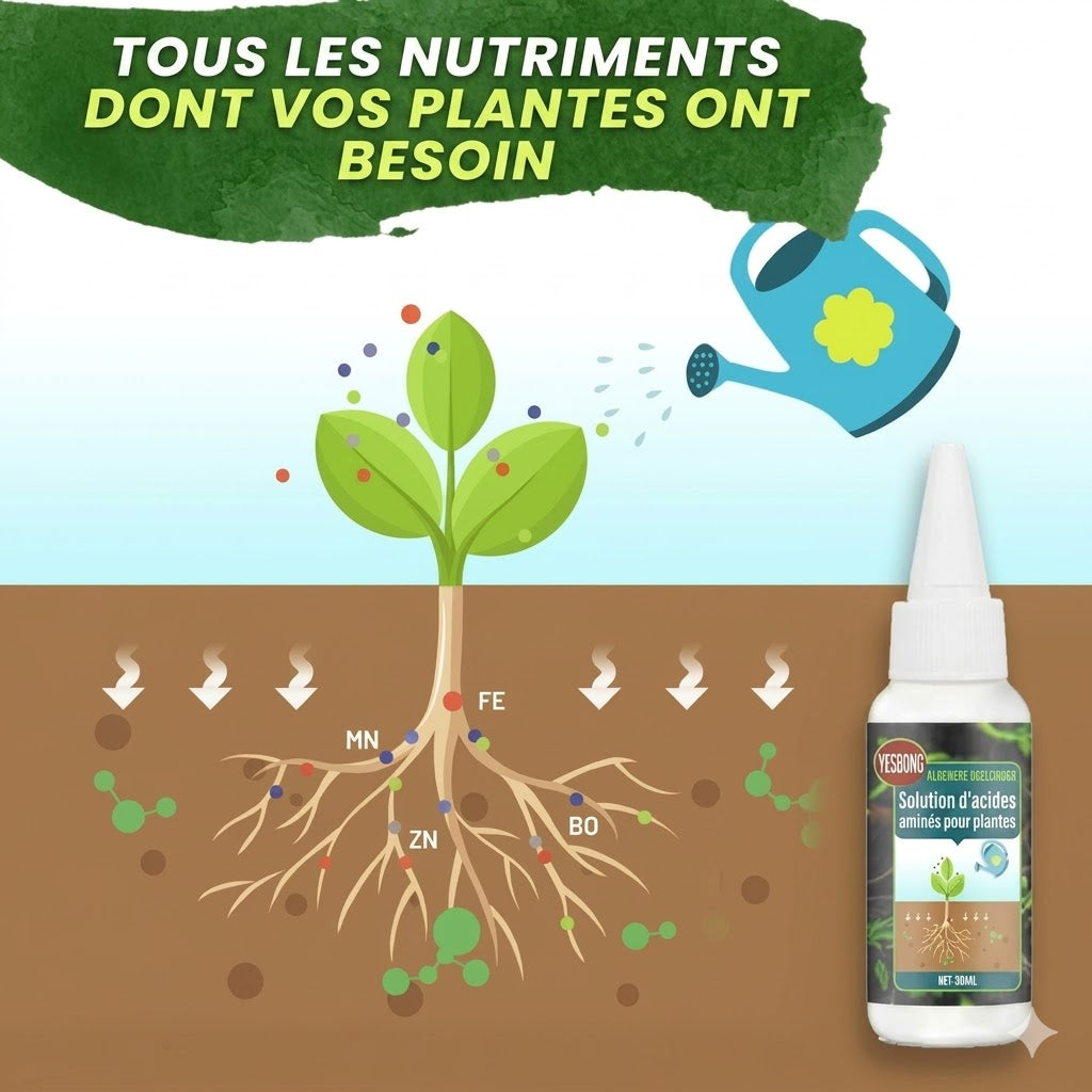 Engrais liquide pour plantes