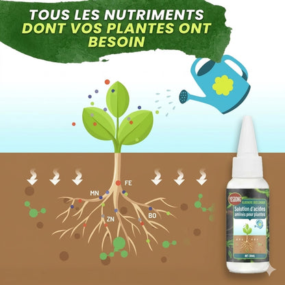 Engrais liquide pour plantes