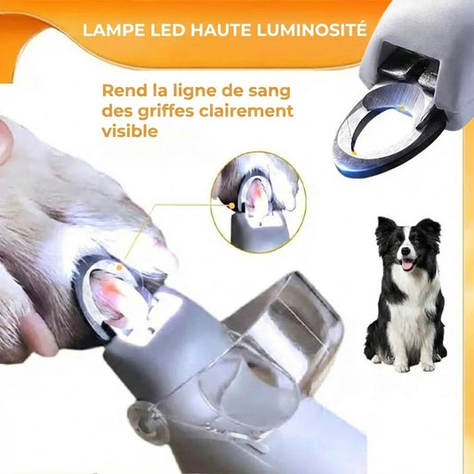 Coupe-ongles LED pour animaux