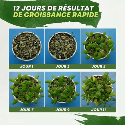 Engrais liquide pour plantes