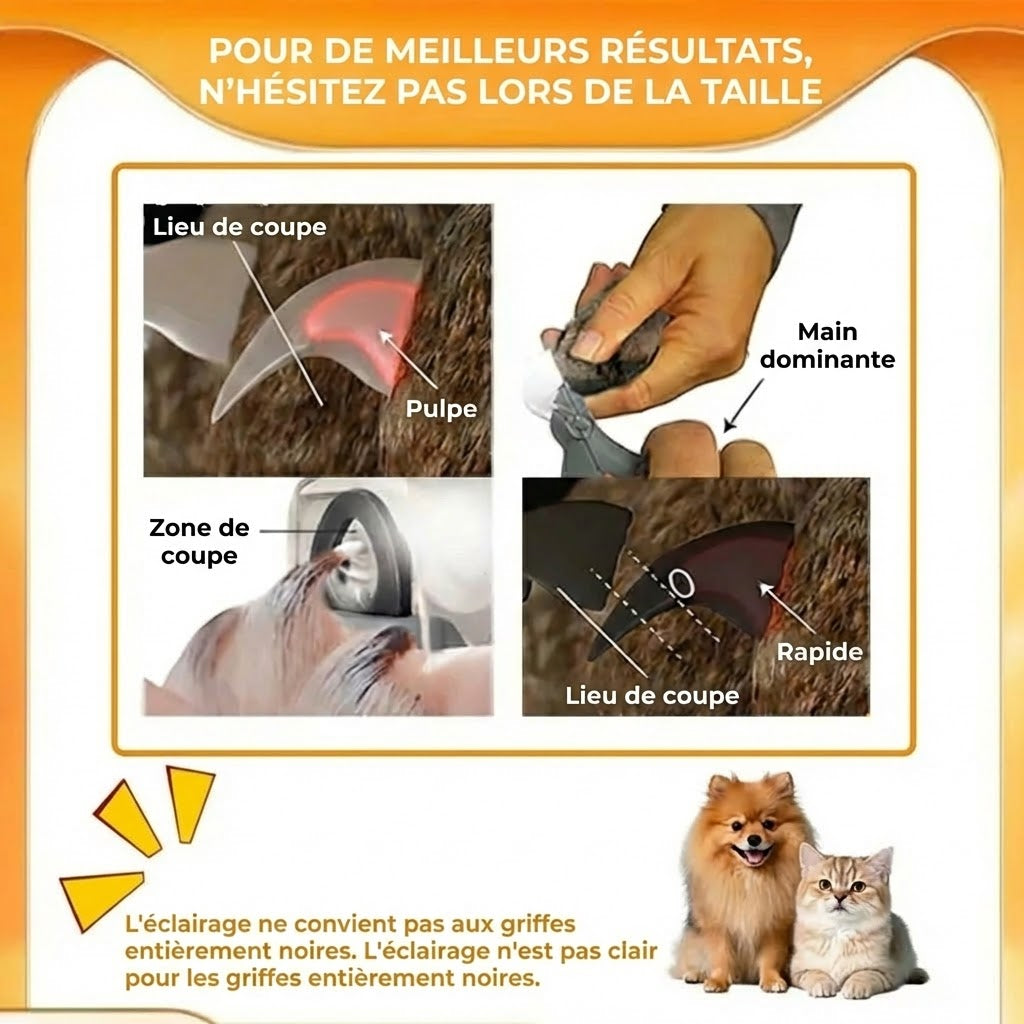 Coupe-ongles LED pour animaux