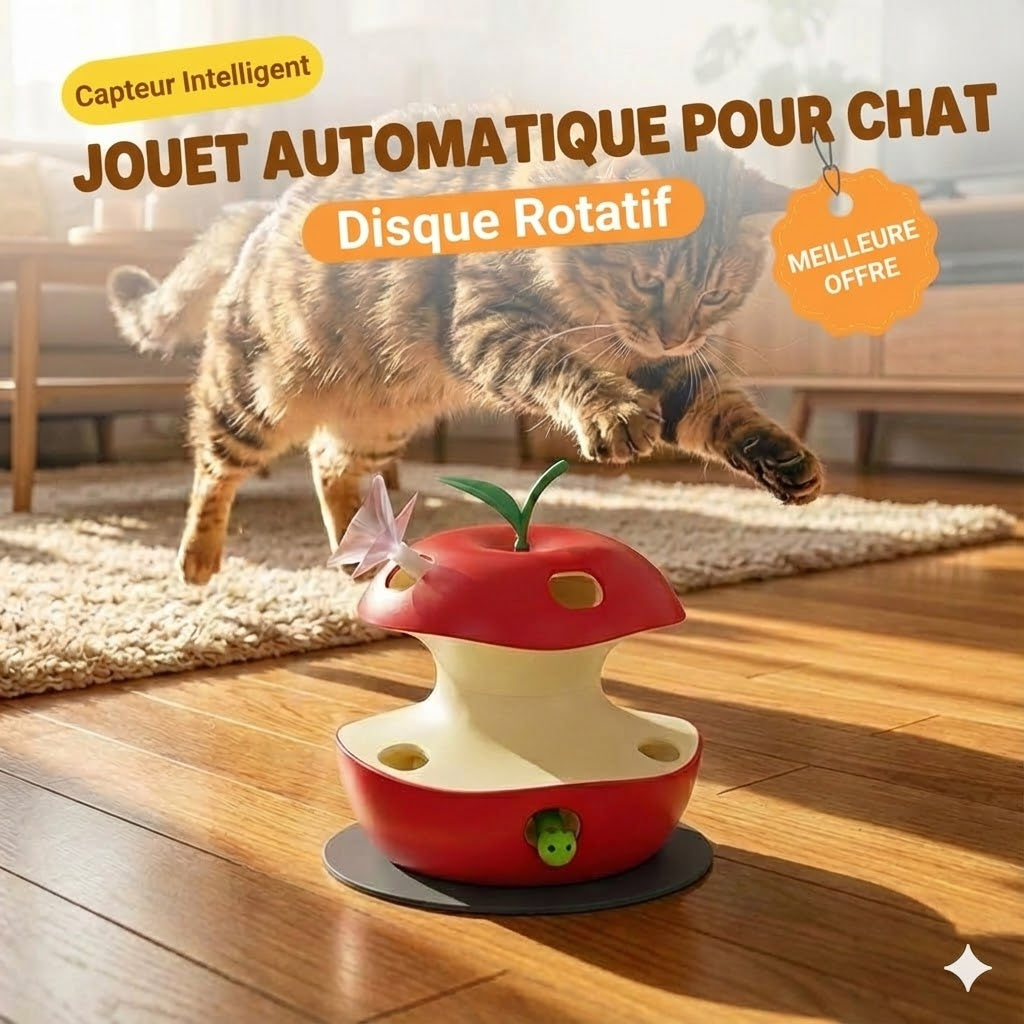 Jouet automatique intelligent pour chat