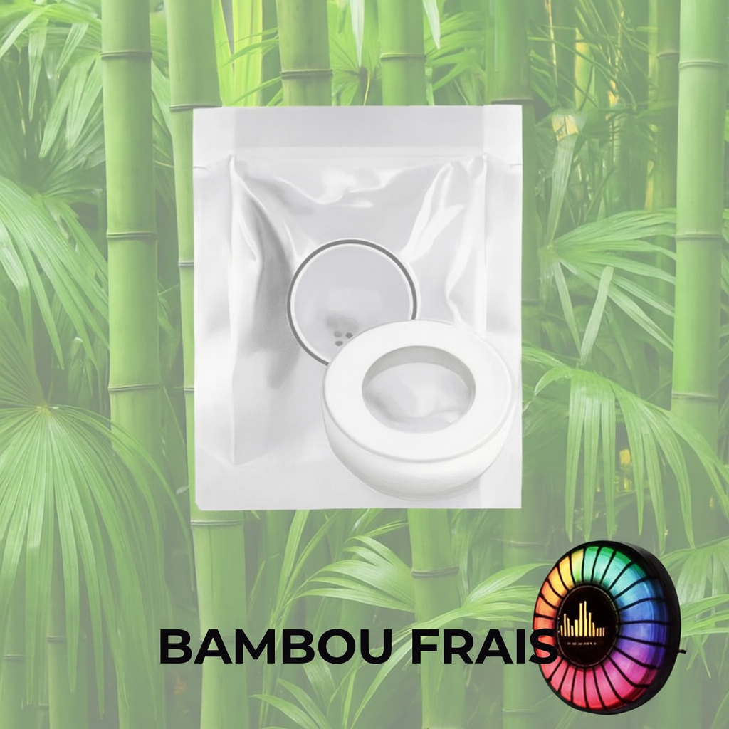 Lampe LED de voiture à rythme musical (avec diffuseur d'arômes)