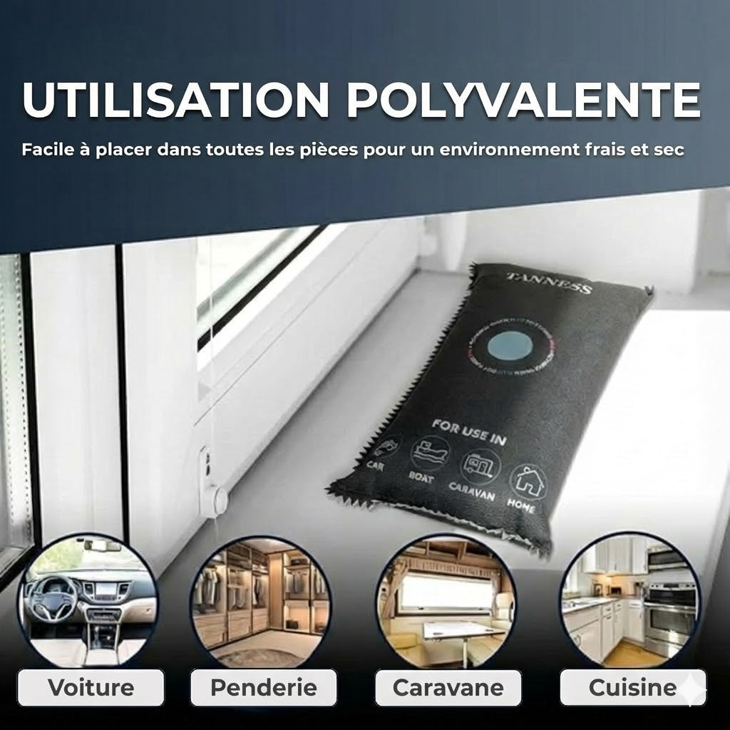 Déshumidificateur de voiture réutilisable : prévient la condensation