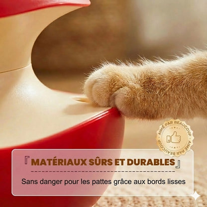 Jouet automatique intelligent pour chat