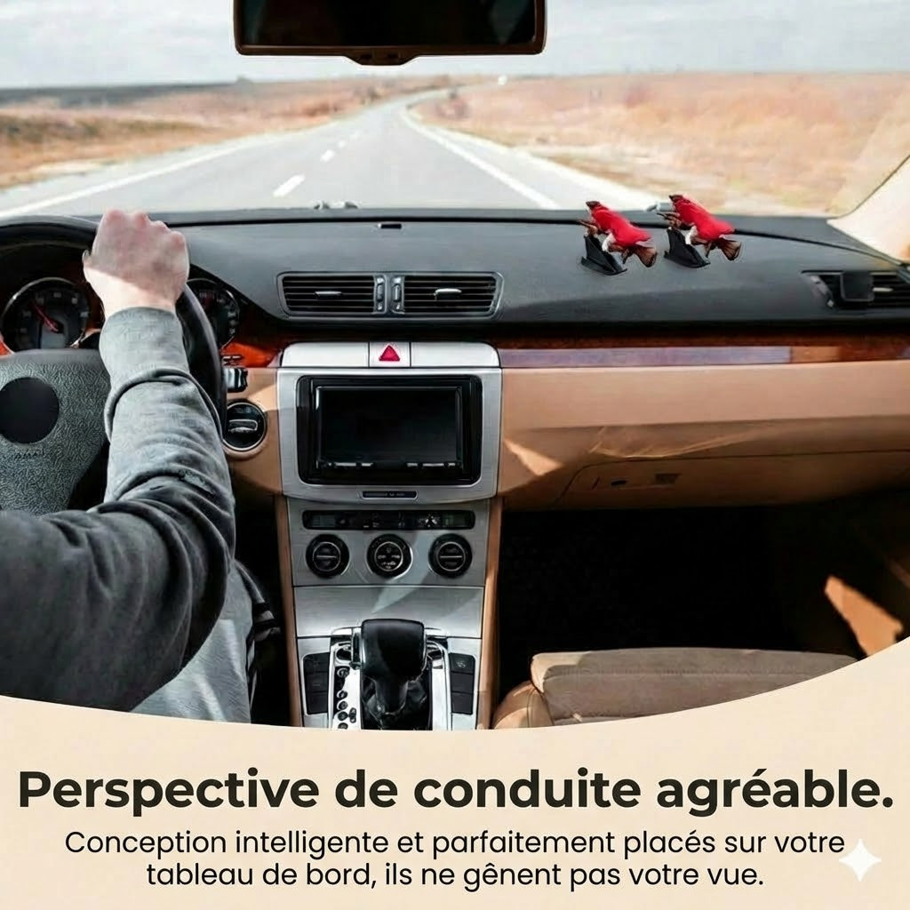 Décoration de tableau de bord balai magique