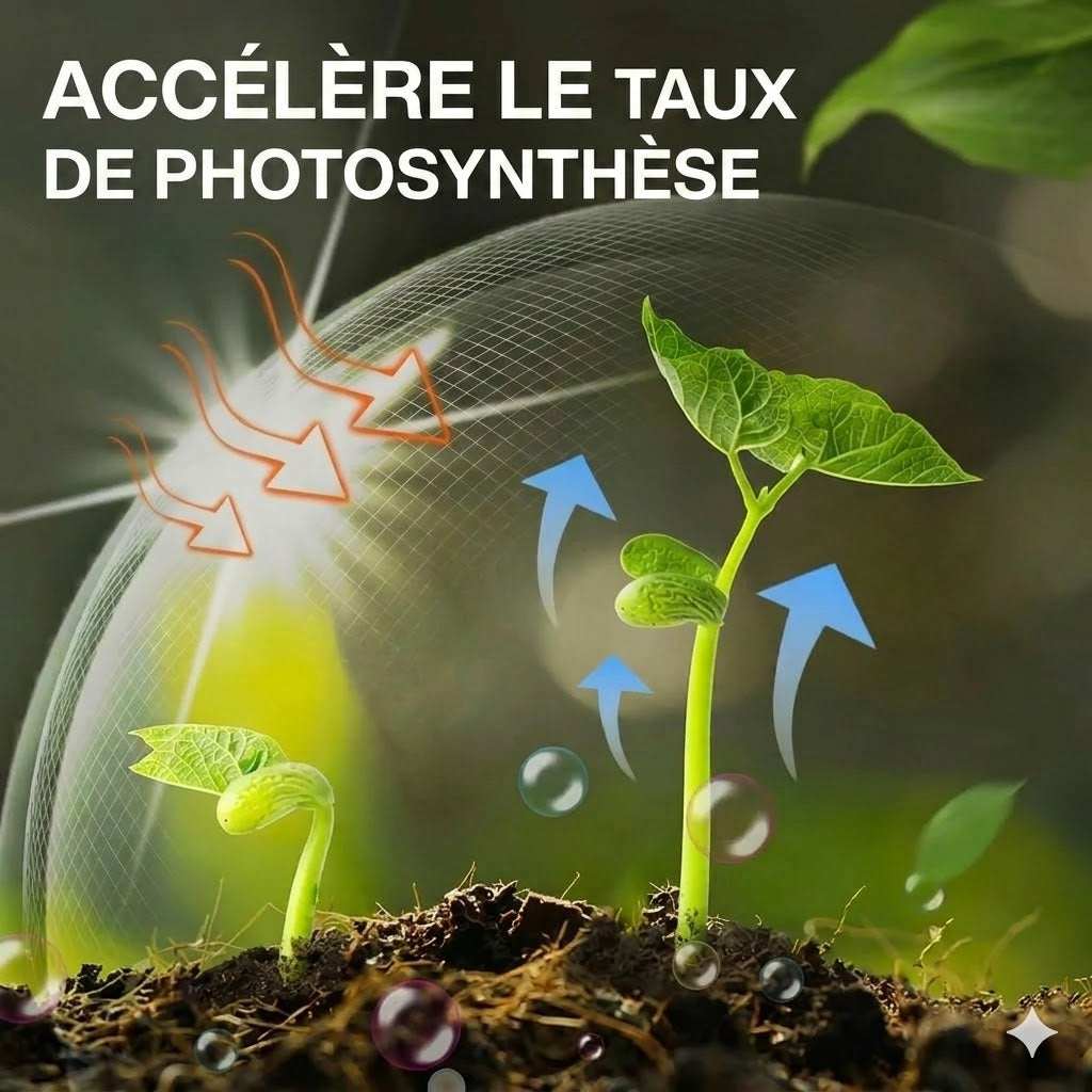 Engrais liquide pour plantes