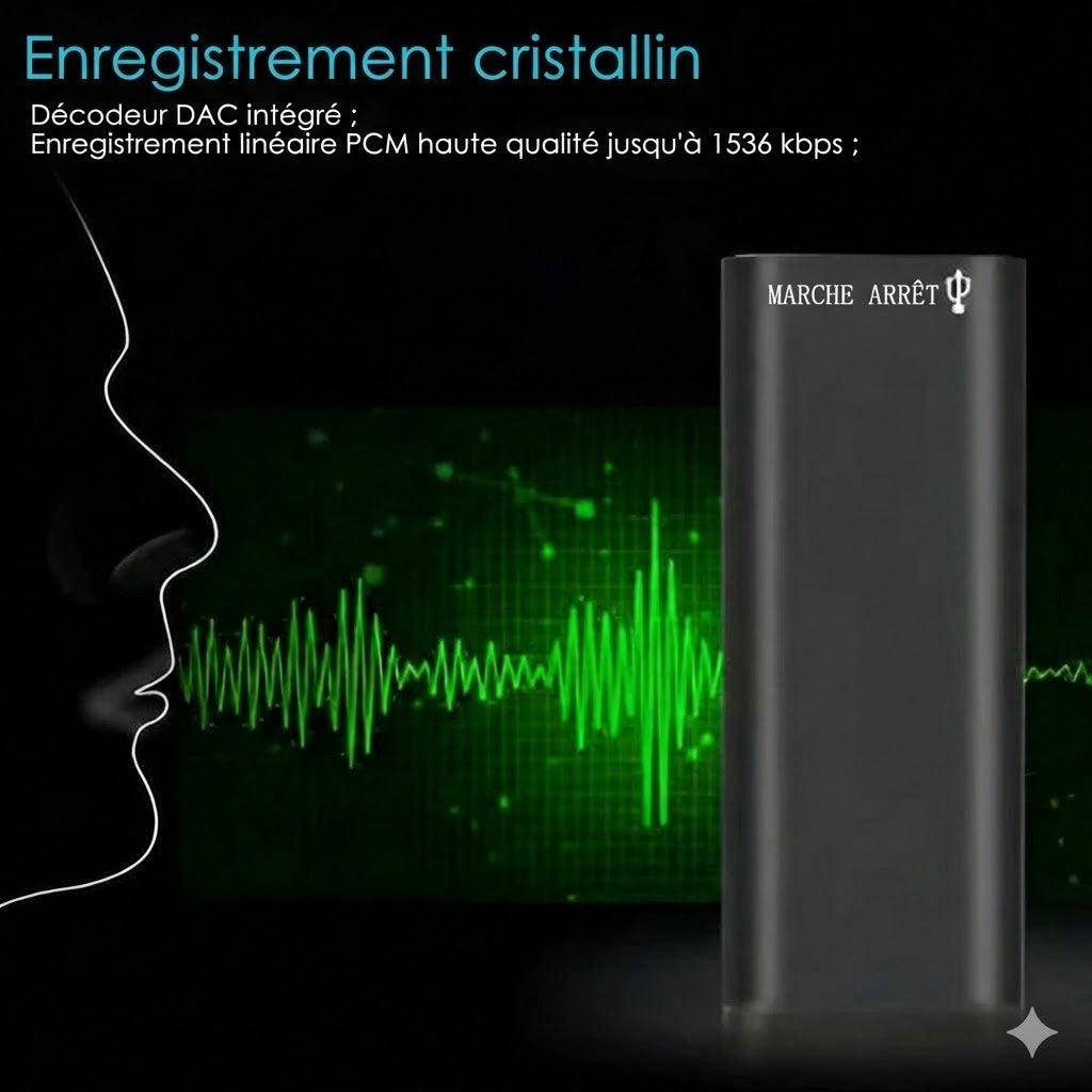 Mini-enregistreur vocal