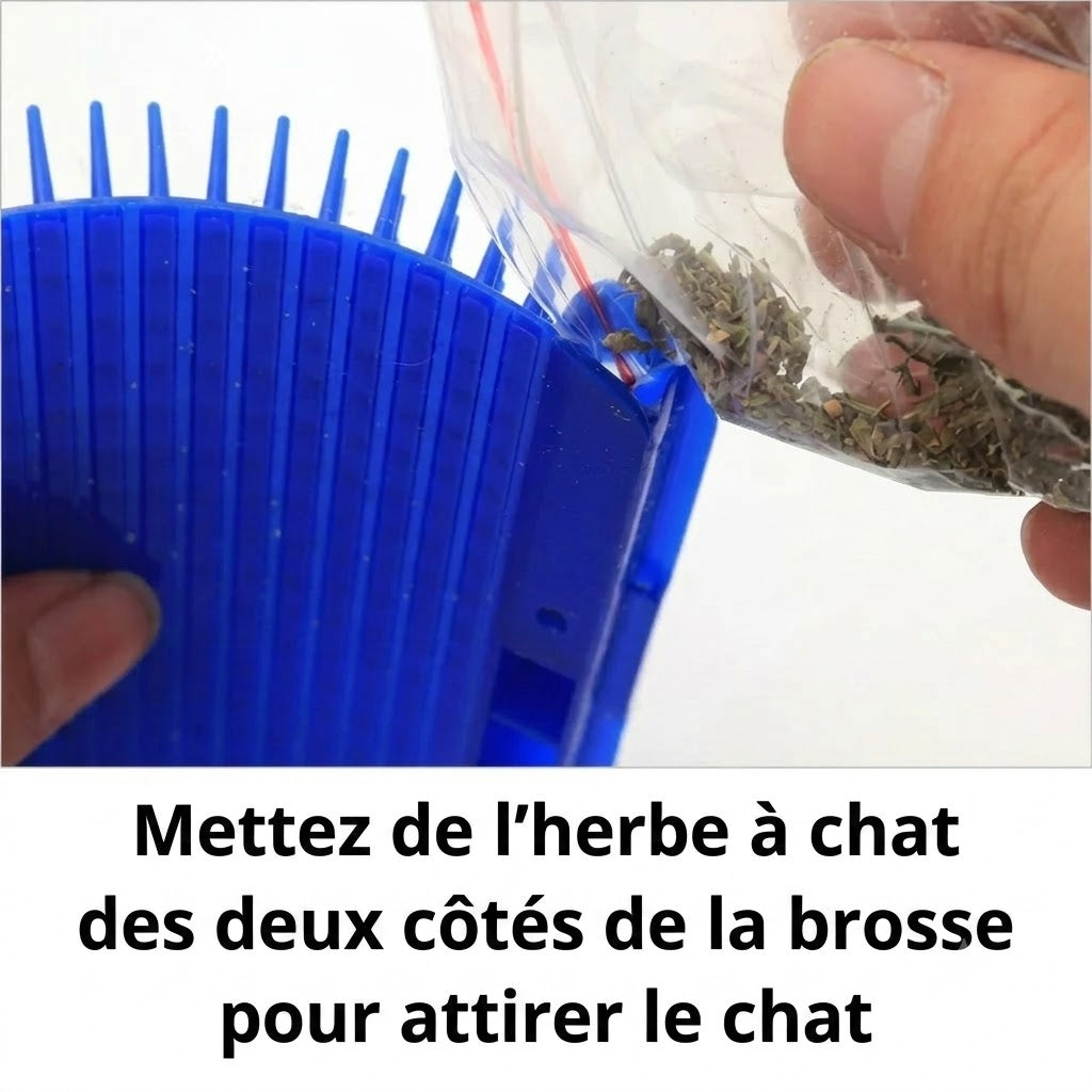 Brosse de massage auto-nettoyante pour coin de mur pour chat