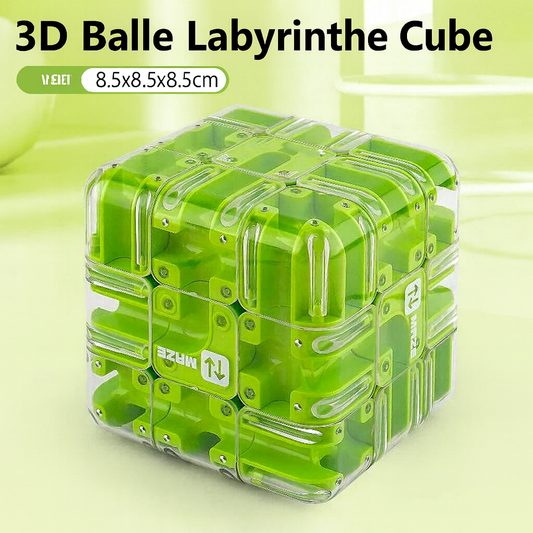 Grand puzzle labyrinthe 3D