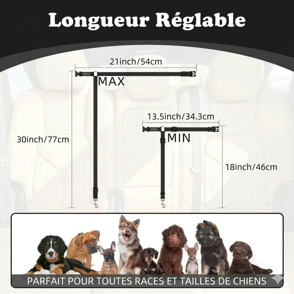 Ceinture de sécurité et laisse pour chien 2-en-1