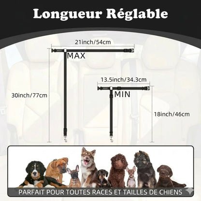 Ceinture de sécurité et laisse pour chien 2-en-1
