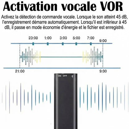 Mini-enregistreur vocal