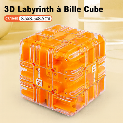 Grand puzzle labyrinthe 3D