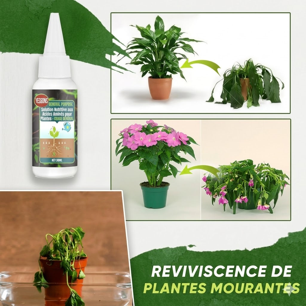 Engrais liquide pour plantes