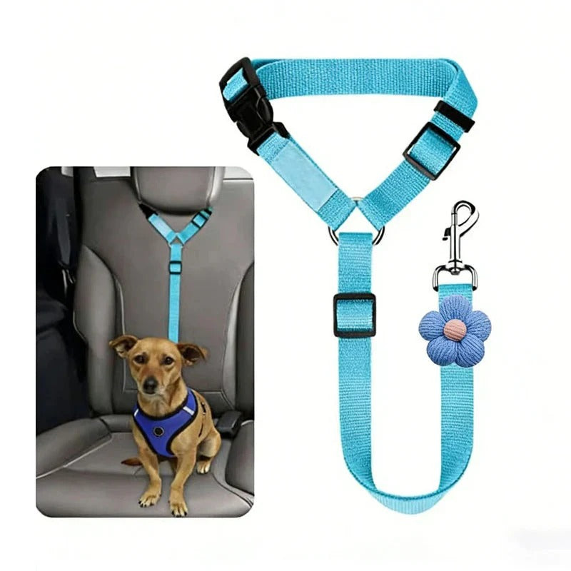 Ceinture de sécurité et laisse pour chien 2-en-1
