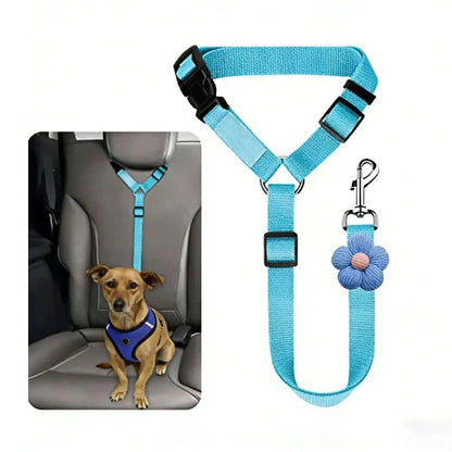 Ceinture de sécurité et laisse pour chien 2-en-1