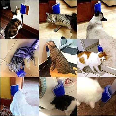 Brosse de massage auto-nettoyante pour coin de mur pour chat