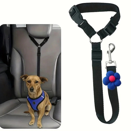 Ceinture de sécurité et laisse pour chien 2-en-1