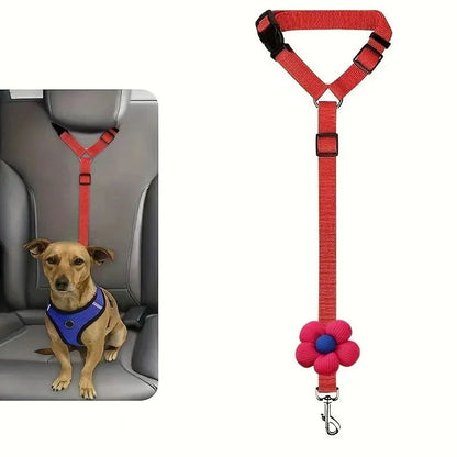 Ceinture de sécurité et laisse pour chien 2-en-1